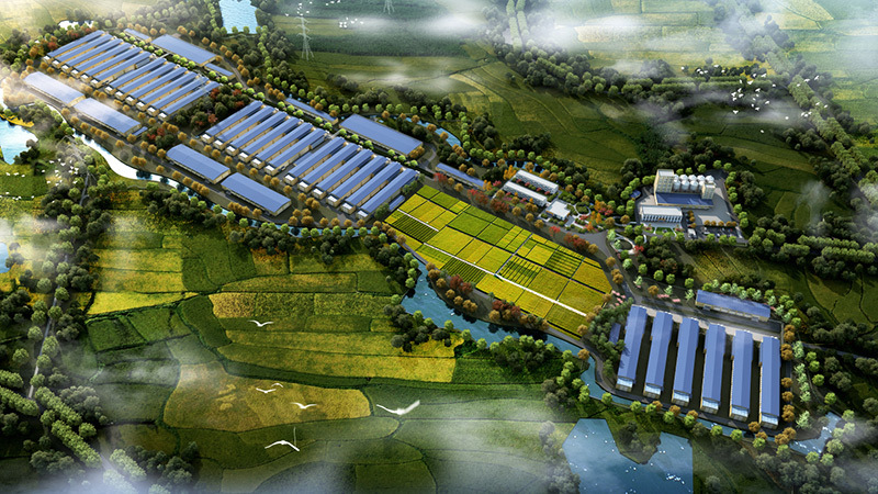 Guangdong Kangrui Ecological Agriculture Co., Ltd. Guangdong Kangrui Ecological Agriculture Co., Ltd.