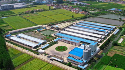 Nantong Xinkangde Poultry Nantong Xinkangde Poultry