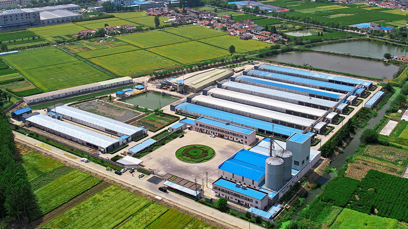 Nantong Xinkangde Poultry Co., Ltd. Nantong Xinkangde Poultry Co., Ltd.