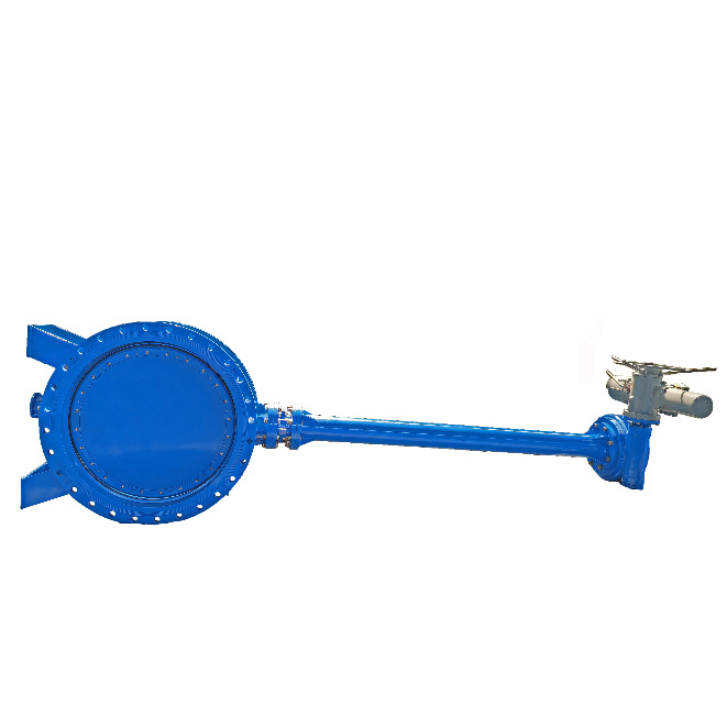 Double eccentric extended stem butterfly valve