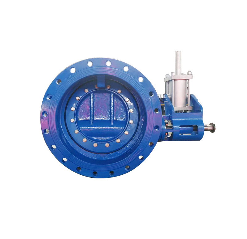Check Valve