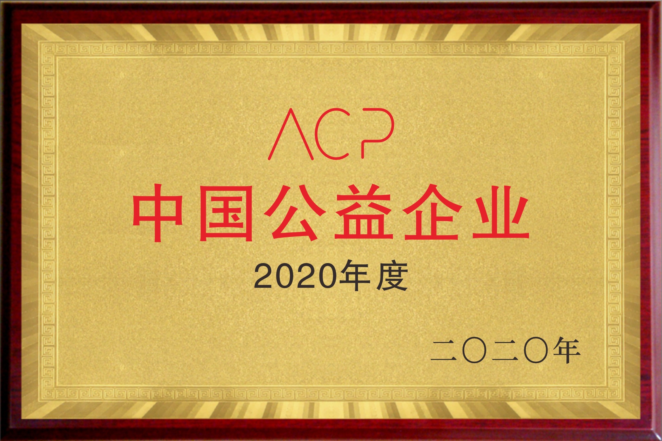 2020中国公益企业