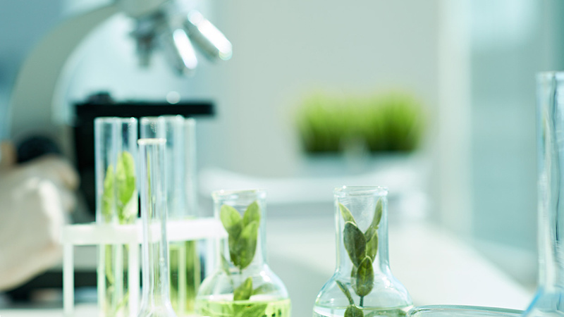 生物植保