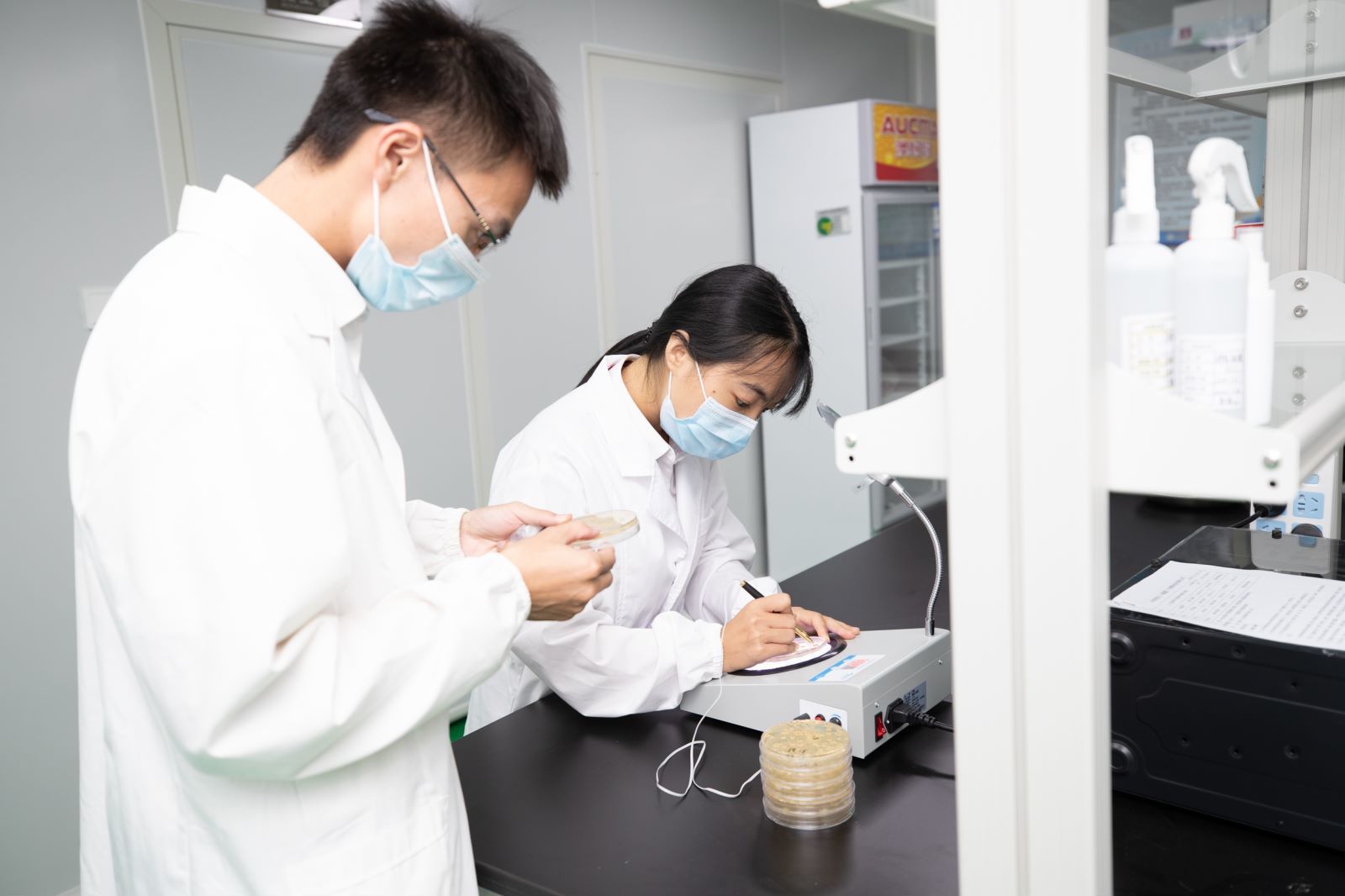 洛东微生物研究中心