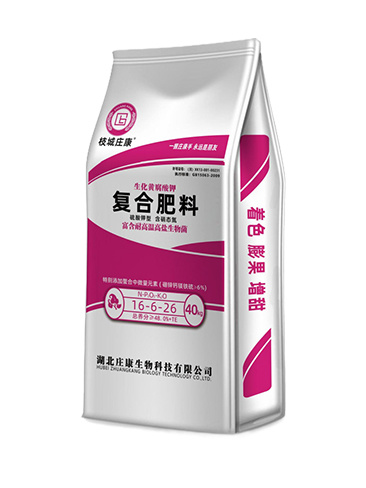 16-6-26復(fù)合肥