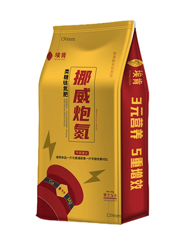 挪威炮氮