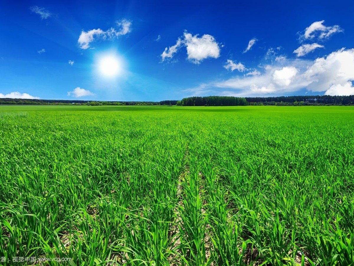 有機(jī)肥、生物有機(jī)肥、微生物菌劑區(qū)別在哪？