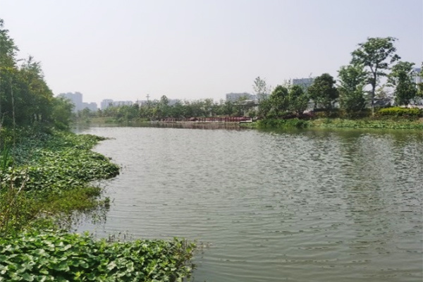 Yinhongqi River Treatment Plan