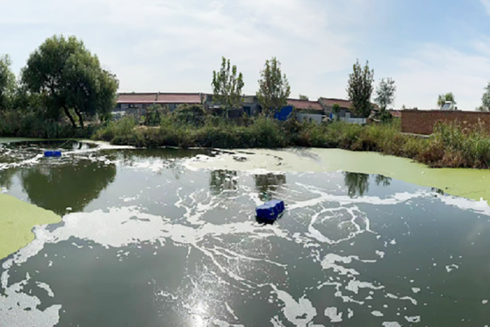 Treatment of a black-smelling pit pond in the north