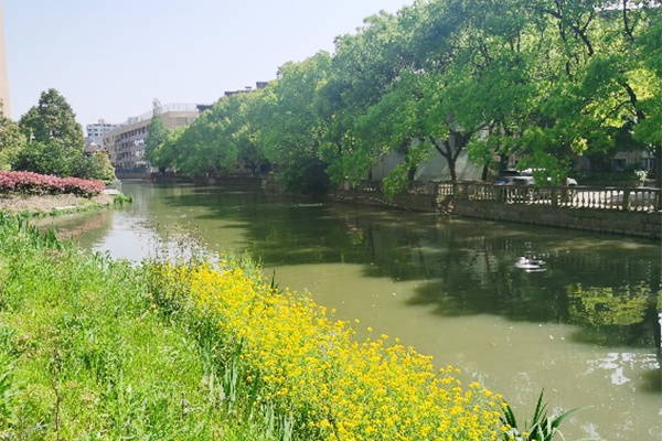 Changfeng River Water Quality Enhancement Program