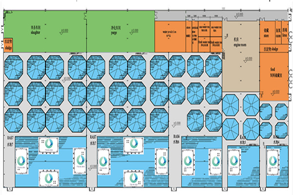 Recirculating water aquaculture case