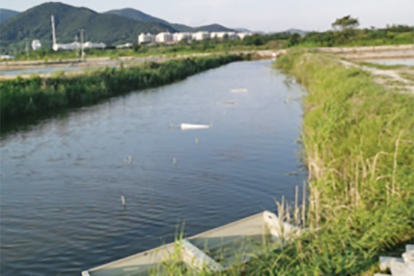 Integration and construction of tail water treatment system for South American white shrimp (Litopenaeus vannamei) culture model in earthen ponds