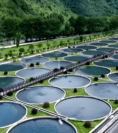 Aquaculture