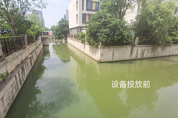 Oriental Yipin Landscape River River Training