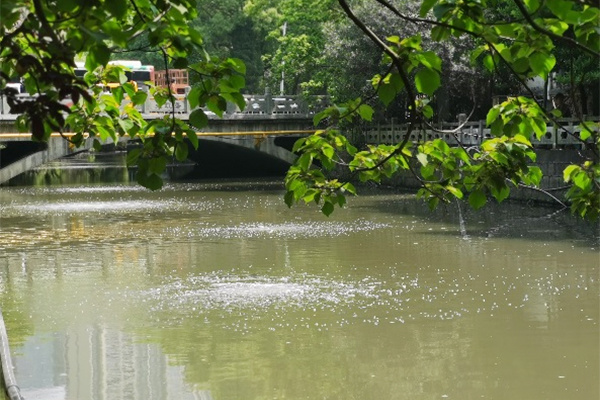 Dongjiao Street Zoujia River river training program