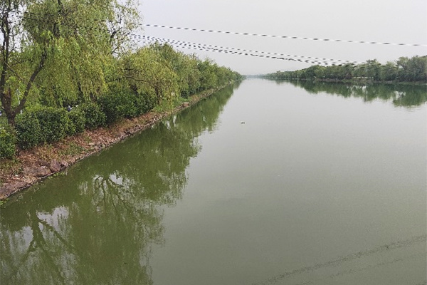 In-situ Water Quality Improvement of Cixi Semi-Dug Pu River