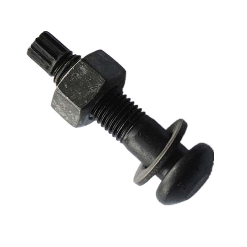 Steel structure torsion shear bolts