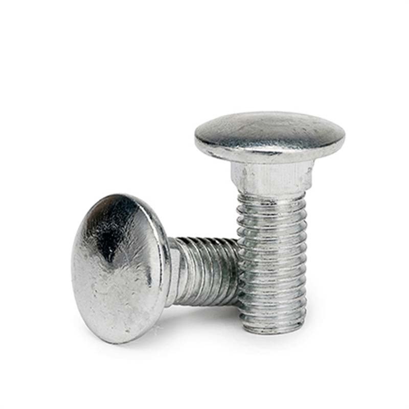 Carriage bolt