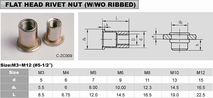 Flat head rivet nut 