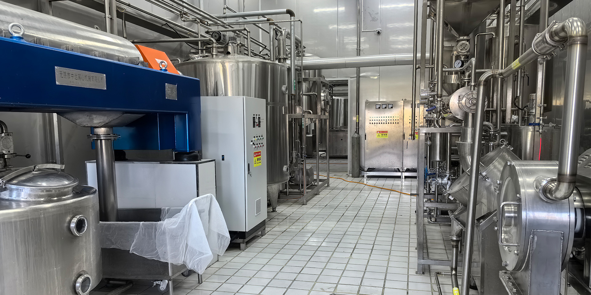 Soy milk technology
