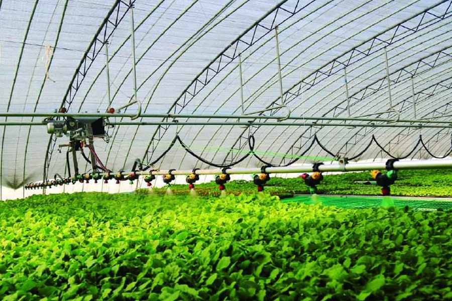 Smart Agriculture