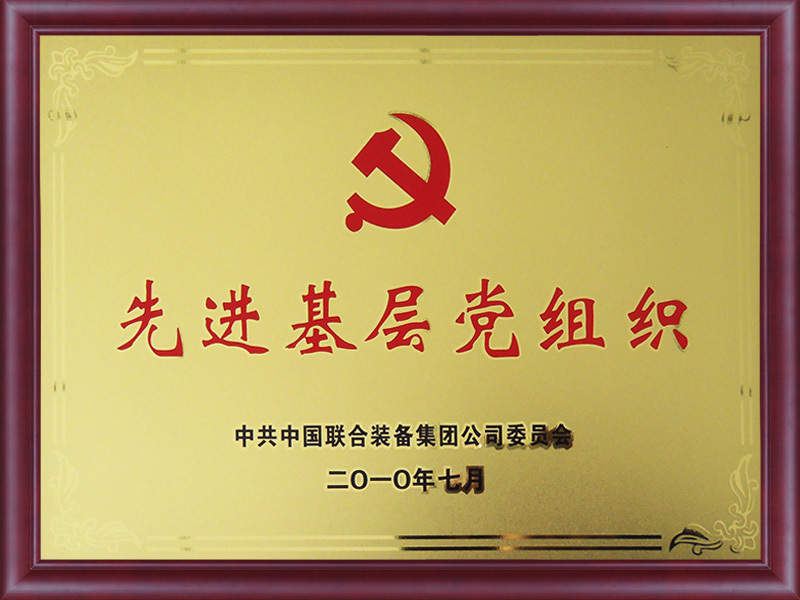 Advanced grass-roots party organisations Advanced grass-roots party organisations