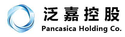 泛嘉控股