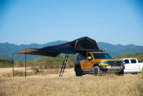 Do you have to remove the roof tent for the annual inspection? Do you have to remove the roof tent for the annual inspection?