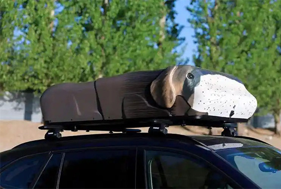 New Energy Vehicle with Roof Tent Opens New Era of Intelligent Camping New Energy Vehicle with Roof Tent Opens New Era of Intelligent Camping