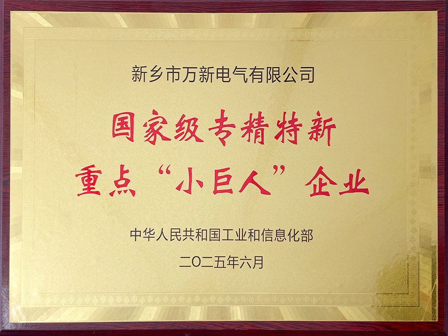 2025年重點(diǎn)小巨人