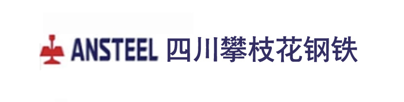 四川攀枝花钢铁有限公司