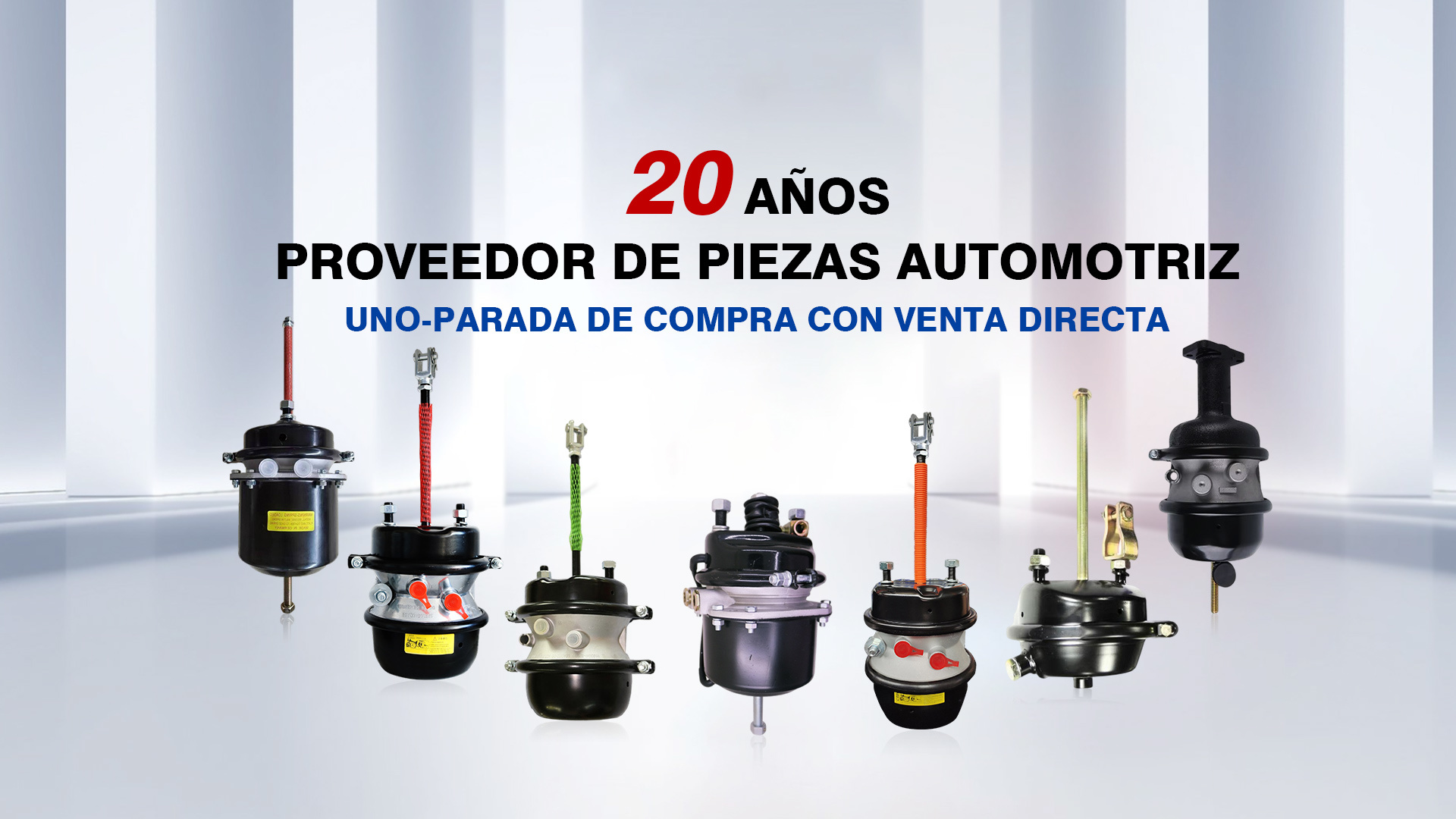 20 AÑOS DE PROVEEDOR DE PIEZAS AUTOMOTRICES