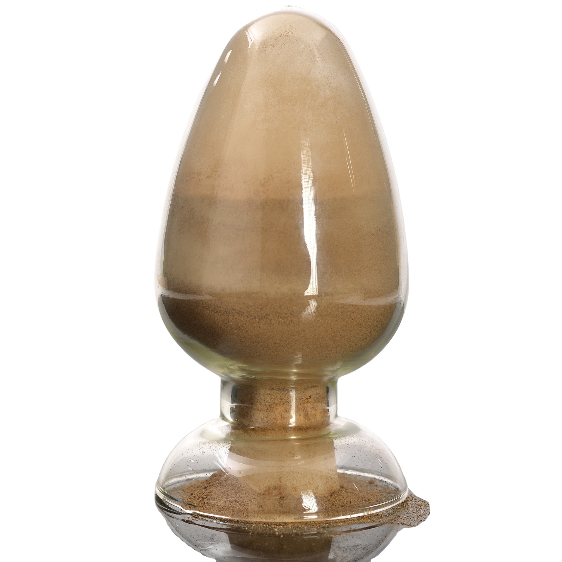 Mushroom Vitamin D2