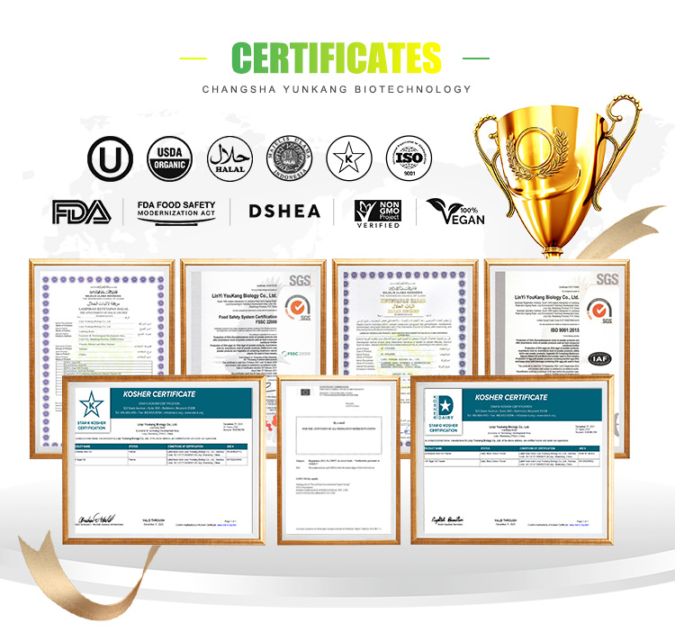 Honors and Certifications