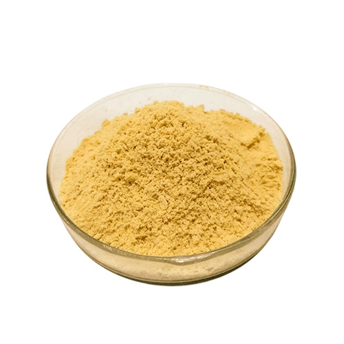 DHA microalgae biomass
