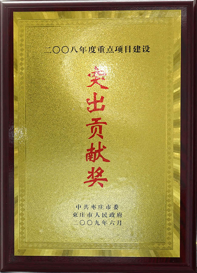 Outstanding Contribution Award