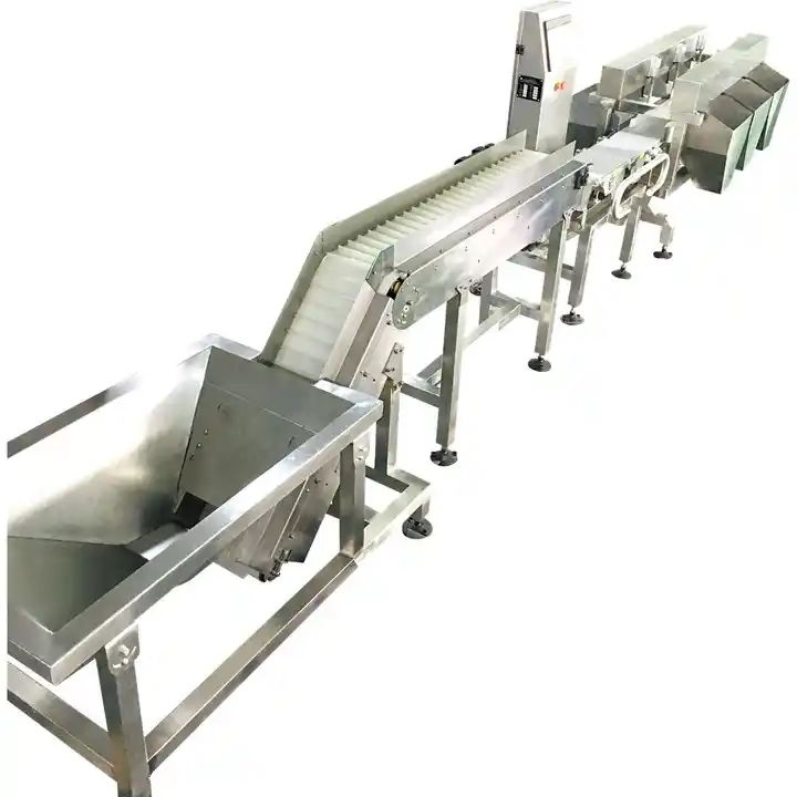 Factory Price stainless steel fruit weight sorting machine conveyor belt scale