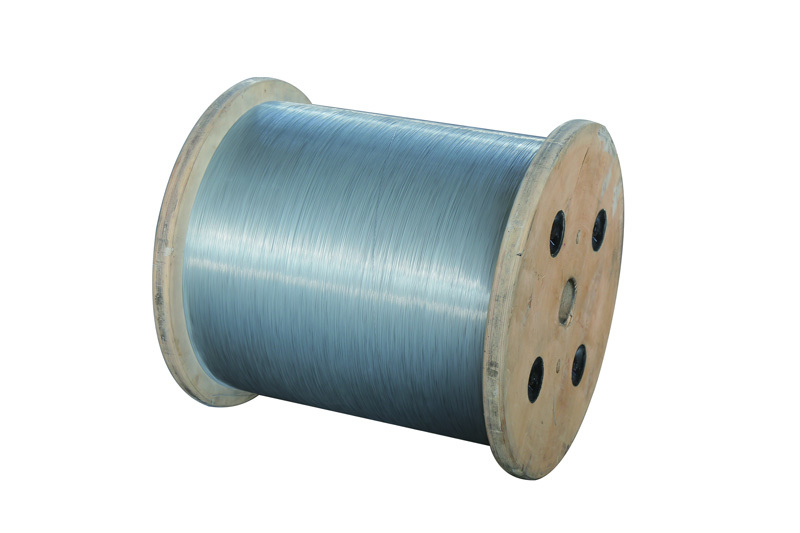 Steel Wire for Automotive Sealing Strip Skeleton