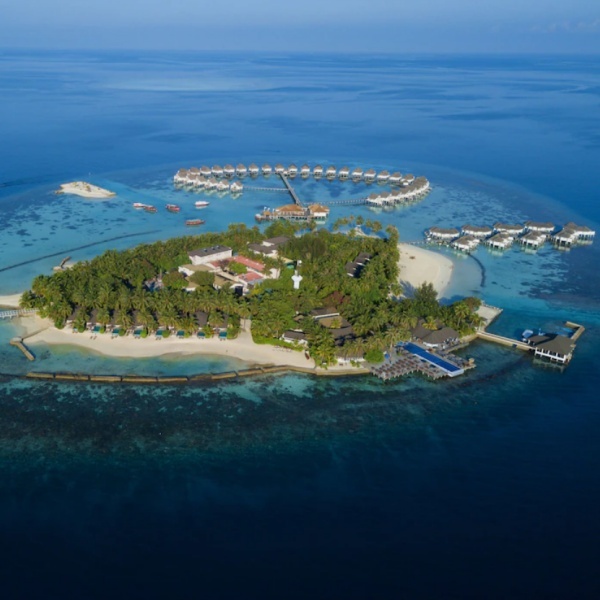Experience the Best of Vintage Cafe Bar in the Maldives