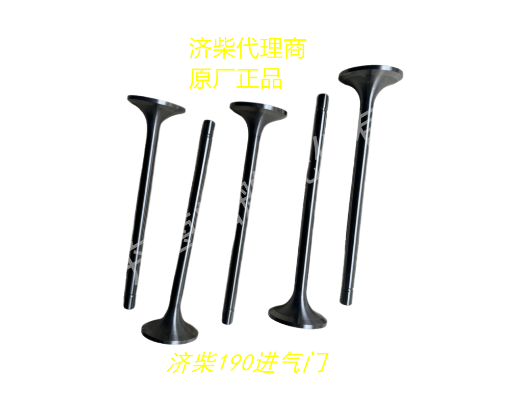 济柴190进气阀