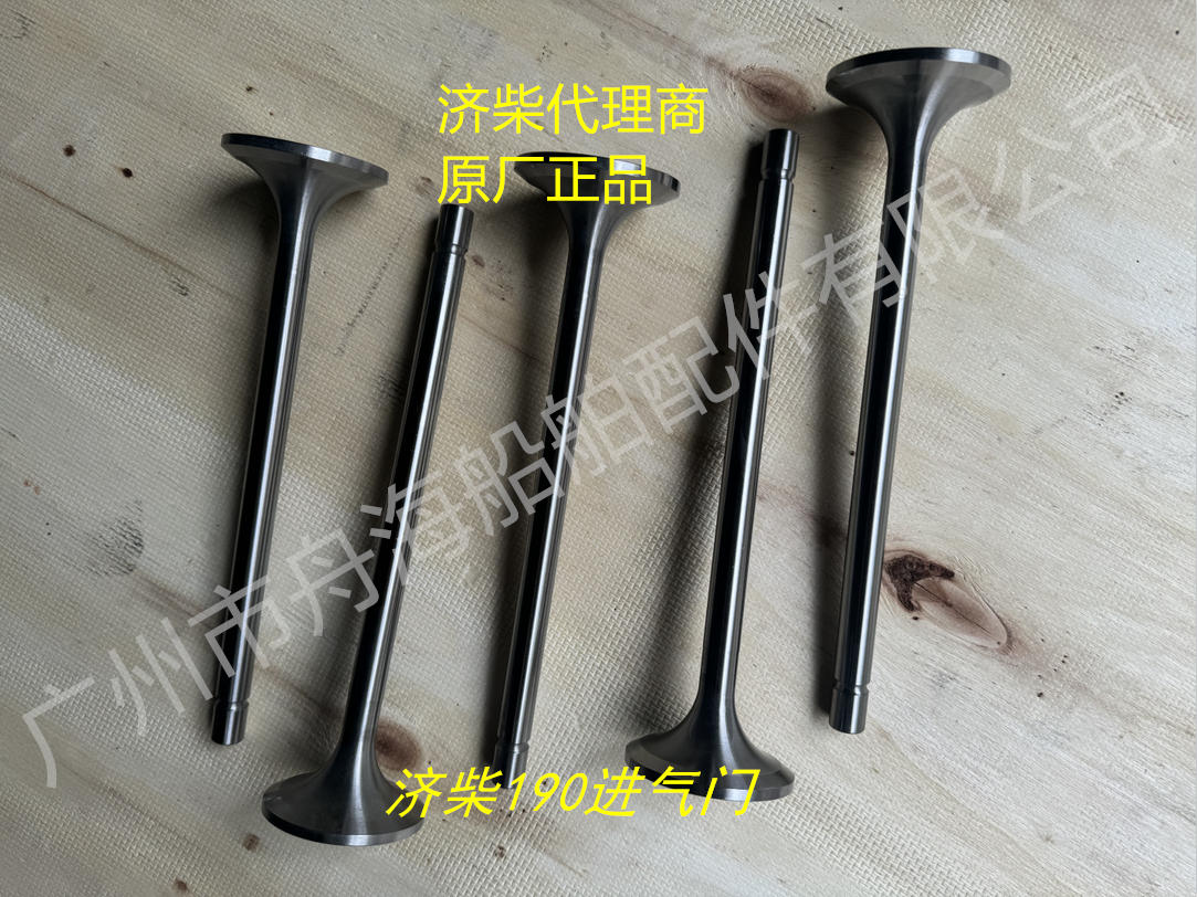 济柴190进气阀