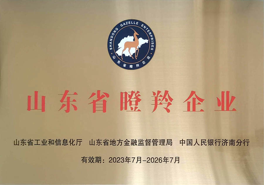 Shandong Gazelle Enterprise Shandong Gazelle Enterprise