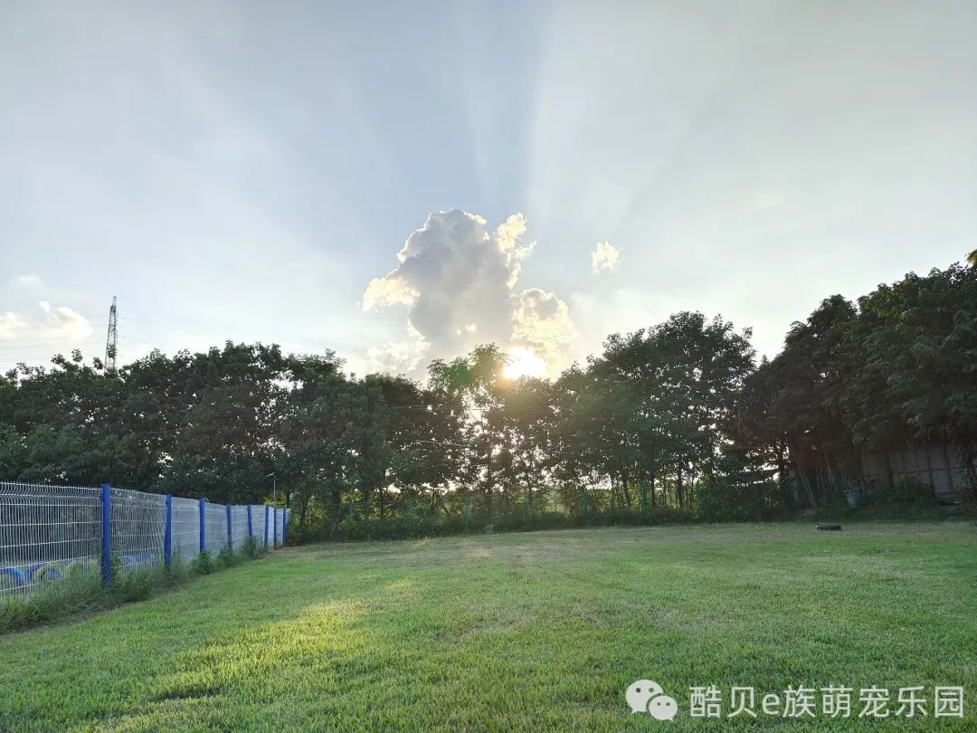 暑假寄养丨酷贝E族