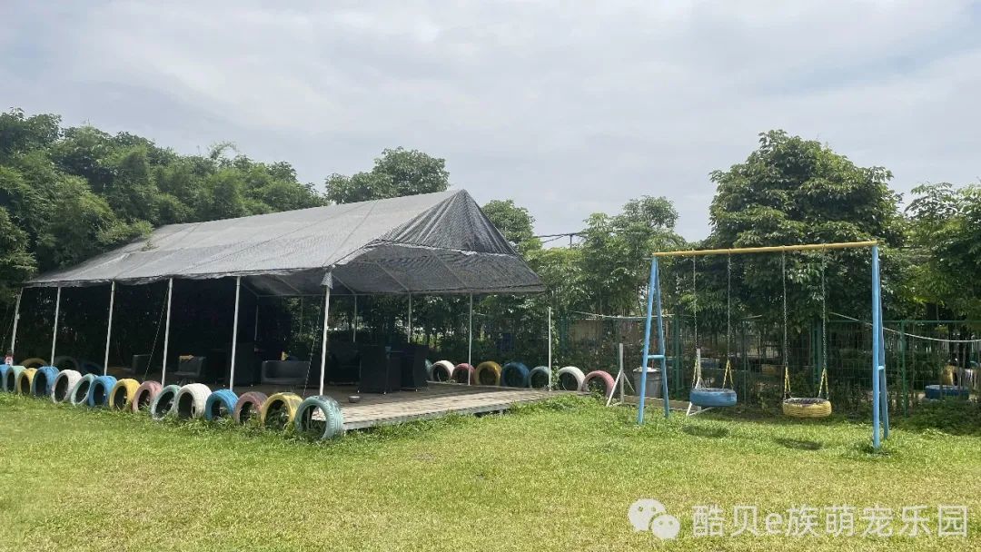 暑假寄养丨酷贝E族
