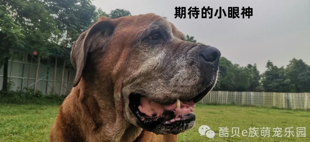 您get到了吗？丨酷贝E族