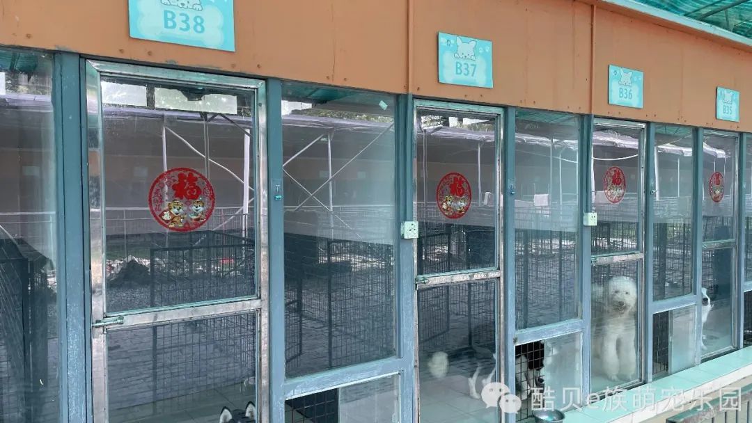 暑假寄养丨酷贝E族