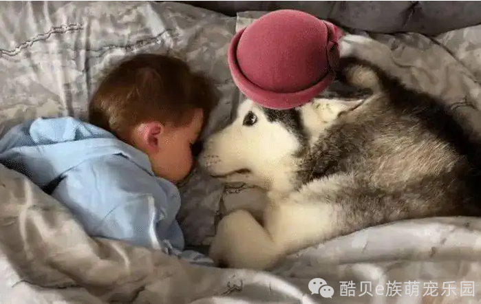 您get到了吗？丨酷贝E族
