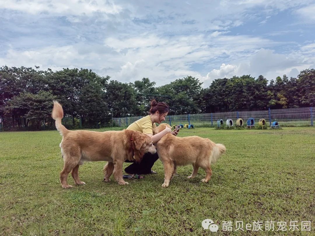 您get到了吗？丨酷贝E族