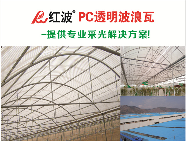 【邀请函】广东红波建材科技有限公司将闪耀亮相5月广州瓦业展，欢迎您光临T29展位