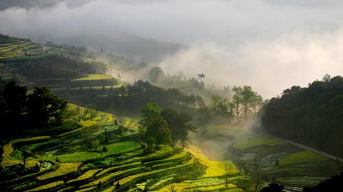 【重磅消息】买红波瓦，送豪华旅游!